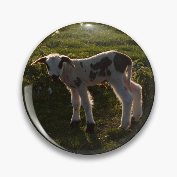 Item preview, Newborn lamb designed and sold by Parafull.
