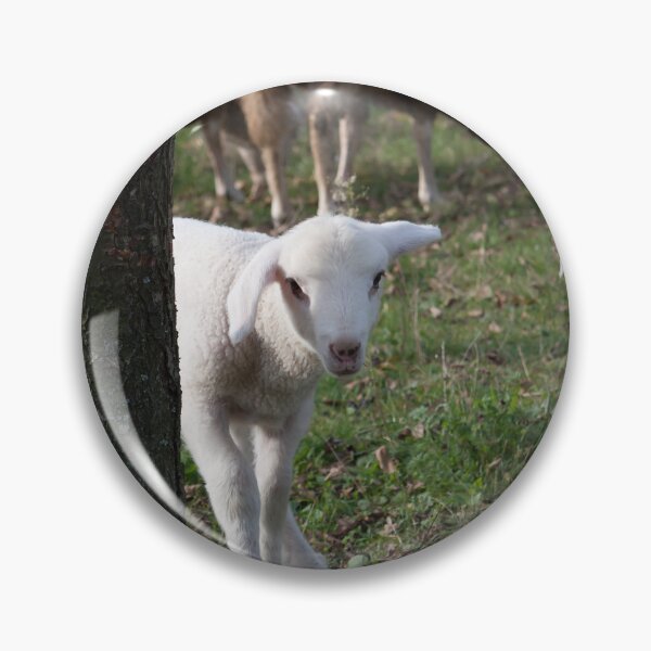 Item preview, Shy lamb designed and sold by Parafull.