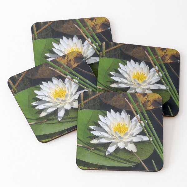 Item preview, White Lotus 1 designed and sold by MELANIEGPRIDGEN.