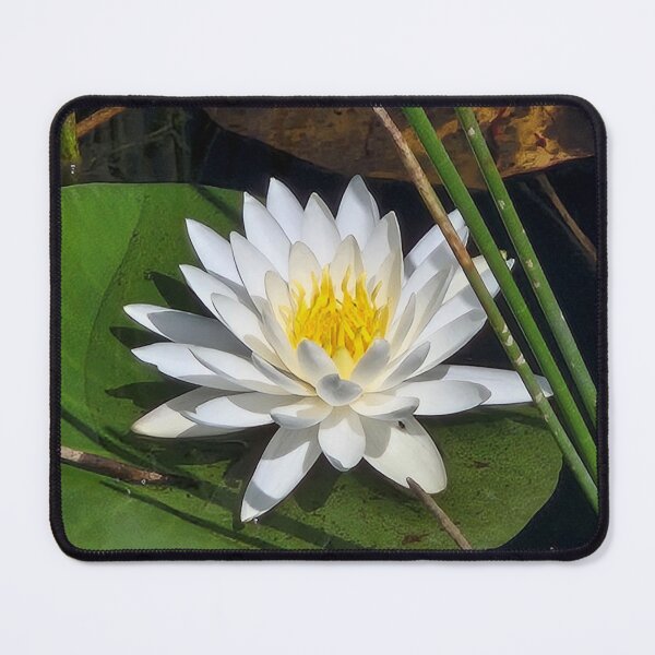 Item preview, White Lotus 1 designed and sold by MELANIEGPRIDGEN.