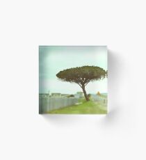 Solo in Suburbia Acrylic Block