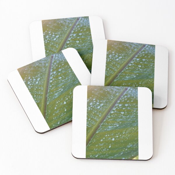 Item preview, Raindrops on banana leaf designed and sold by Quantum-Life.