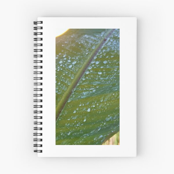 Item preview, Raindrops on banana leaf designed and sold by Quantum-Life.