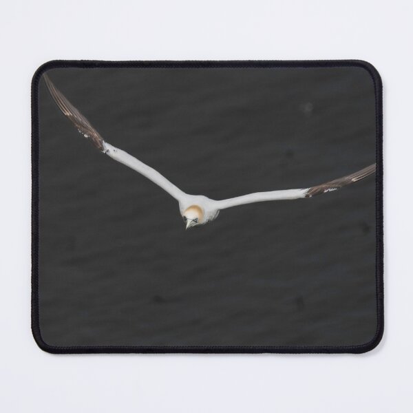 Item preview, GANET IN flight, FREE AS A BIRD designed and sold by 1icreations.