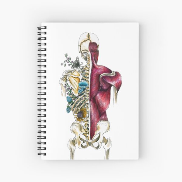 Artikel-Vorschau von Menschliche Skelettflora und -fauna - Anatomie der Skelettblume - Anatomiekunst, designt und verkauft von Terouz.