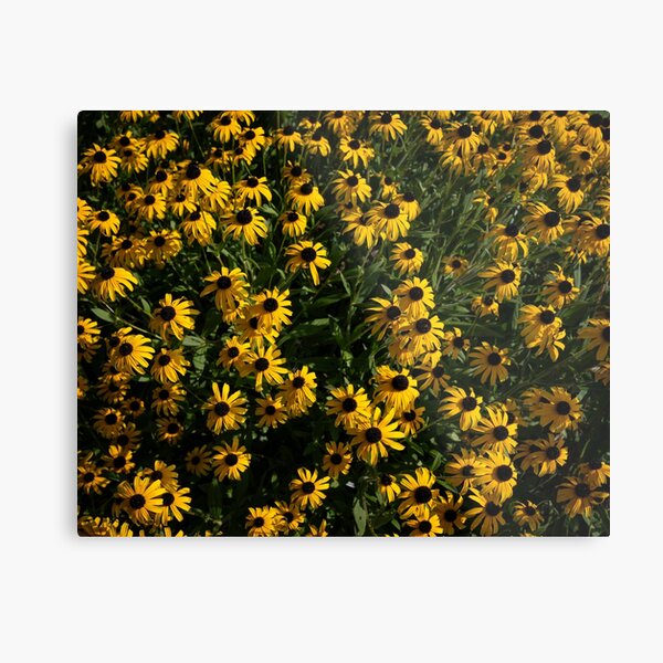 Item preview, Black Eyed Susans designed and sold by Lane-Billings.