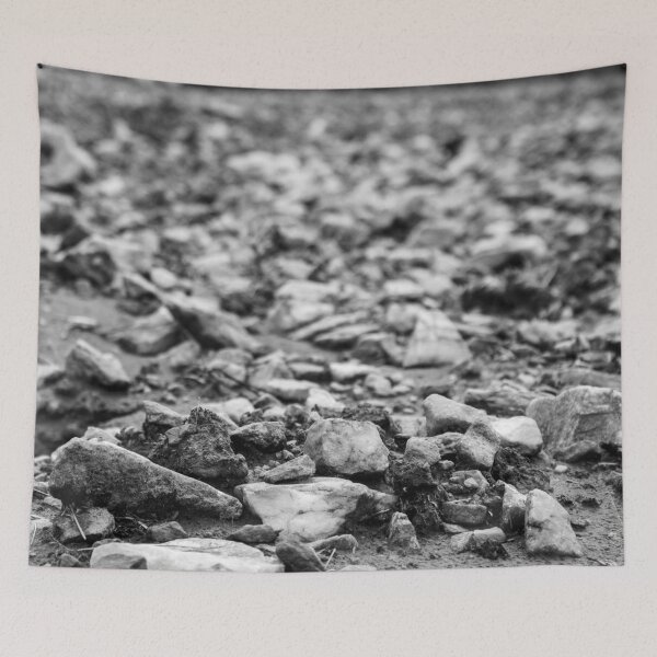 Item preview, dry land with rocks in the interior of Brazil 2 designed and sold by felipequeiroz.