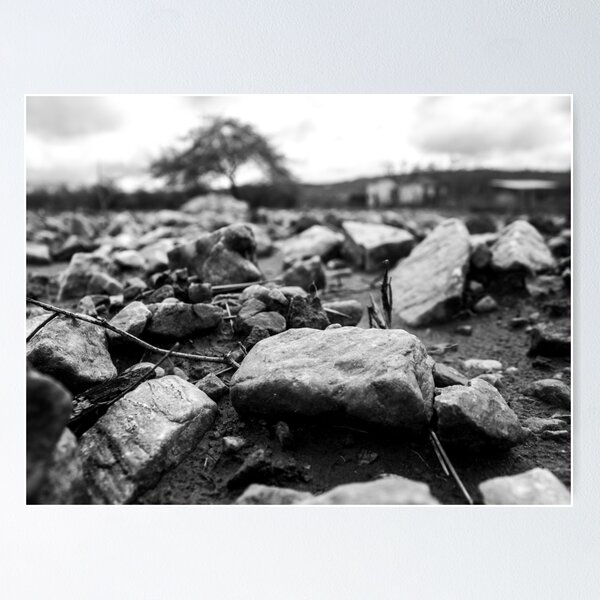Item preview, dry land with rocks in the interior of Brazil 3 designed and sold by felipequeiroz.