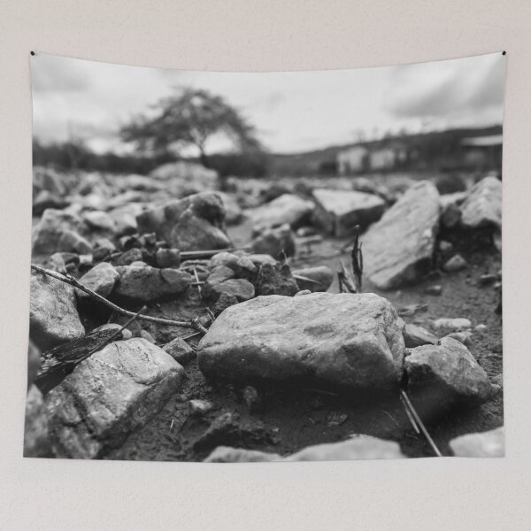 Item preview, dry land with rocks in the interior of Brazil 3 designed and sold by felipequeiroz.