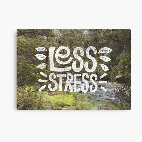 Less Stress Canvas Print