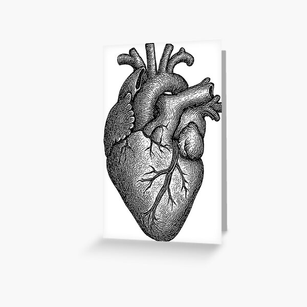Item preview, Human Heart Engraving designed and sold by studiodenny.