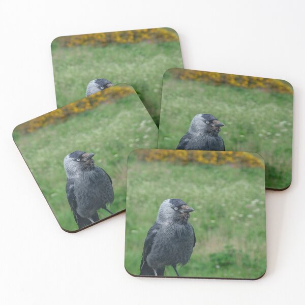 Item preview, cROW designed and sold by 1icreations.