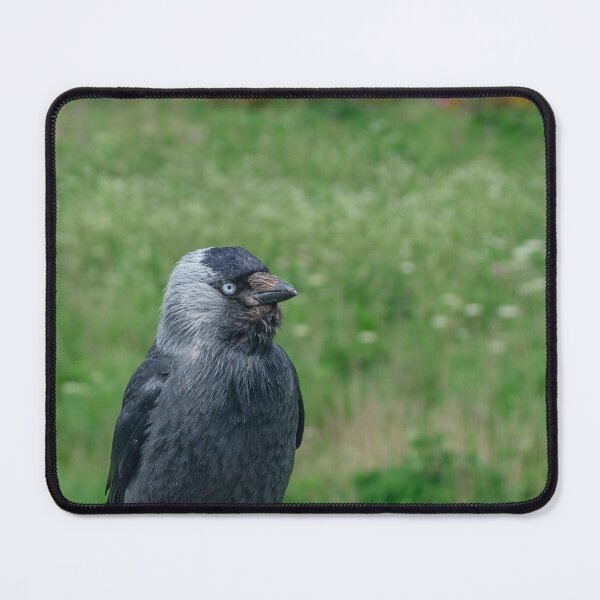 Item preview, cROW designed and sold by 1icreations.