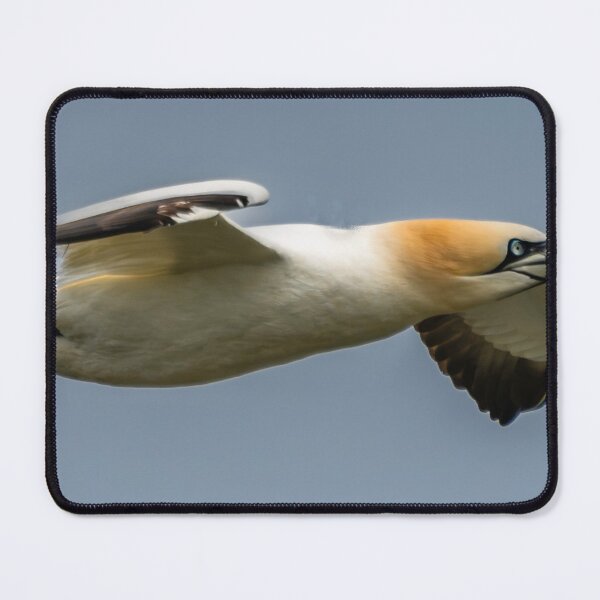 Item preview, GANET IN FLIGHT designed and sold by 1icreations.