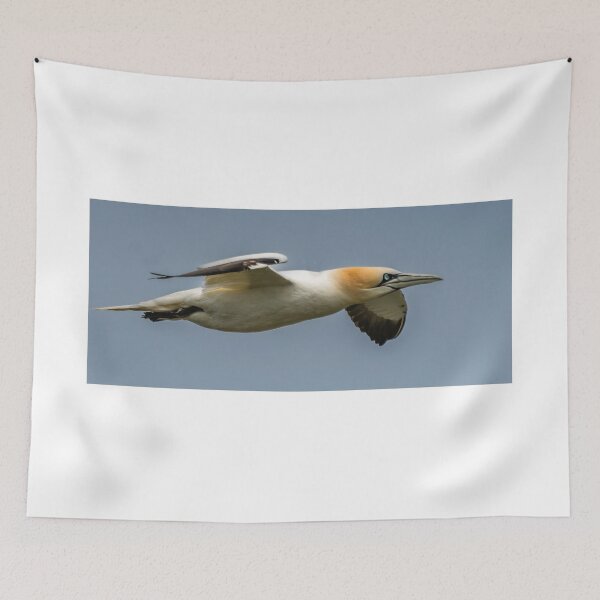 Item preview, GANET IN FLIGHT designed and sold by 1icreations.