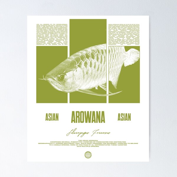 Item preview, Asian Arowana Water Change Monster Fish Keeper designed and sold by JRRTs.