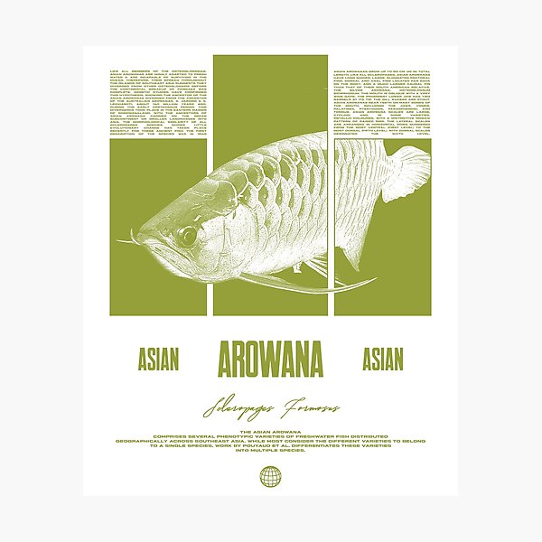 Item preview, Asian Arowana Water Change Monster Fish Keeper designed and sold by JRRTs.