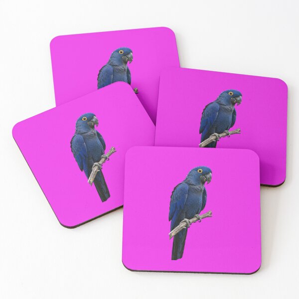 Item preview, Tropical Birds - Beautiful birds with stunning colors designed and sold by MasonsTshirts.
