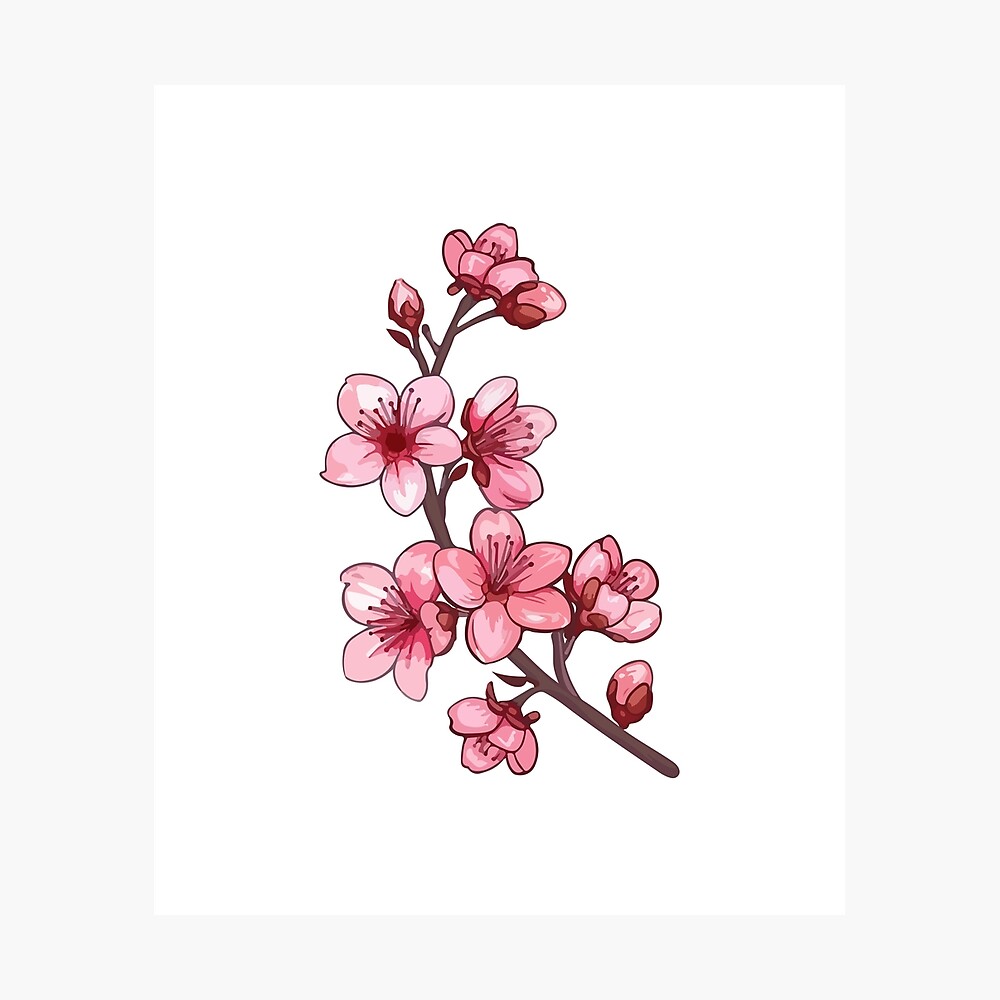 Cherry Blossom Poster