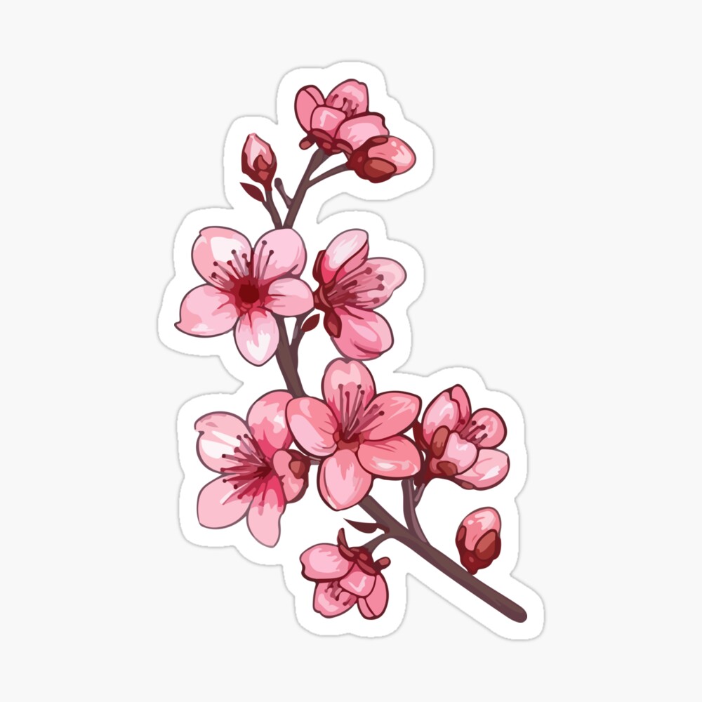 Cherry Blossom Poster