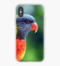 Regenbogen Lorikeet iPhone-Hülle & Cover