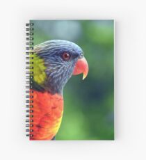 Rainbow Lorikeet Spiral Notebook