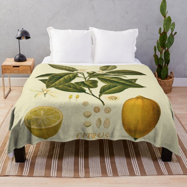 Item preview, Lemons Botanical Illustration 19th Century designed and sold by FLIP-original.