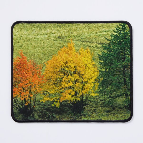 Item preview, Three trees in autumn as natural traffic lights designed and sold by Eckart Mayer Photography.