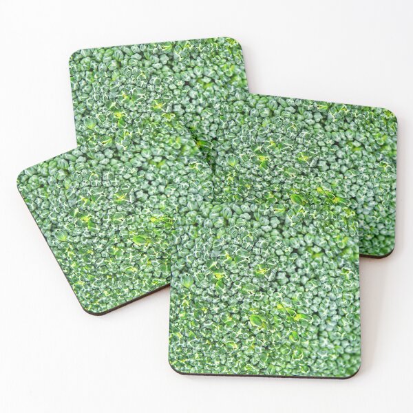 Item preview, Green health of broccoli designed and sold by manoloshoping.