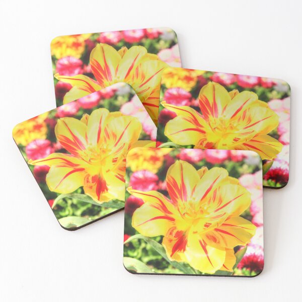 Item preview, The Bright Colours of Spring designed and sold by Vicki Spindler (VHS Photography).