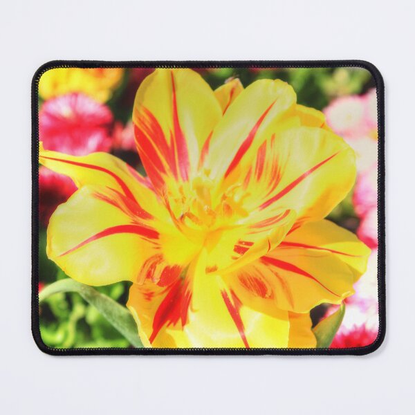 Item preview, The Bright Colours of Spring designed and sold by Vicki Spindler (VHS Photography).