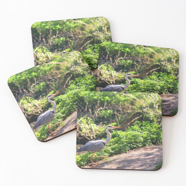 Item preview, Walking My Way? designed and sold by Vicki Spindler (VHS Photography).