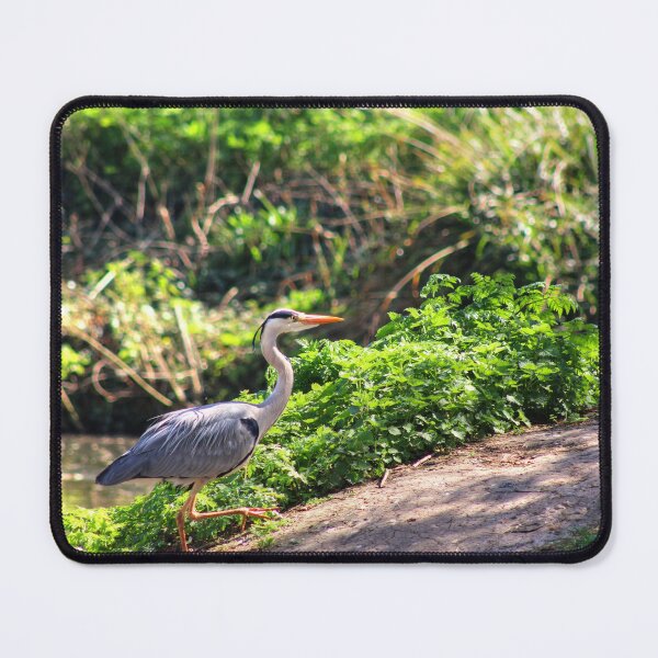 Item preview, Walking My Way? designed and sold by Vicki Spindler (VHS Photography).