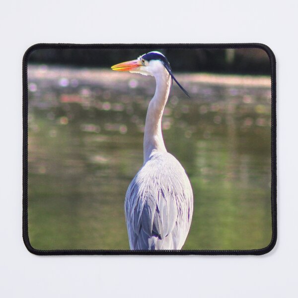 Item preview, Standing Proud designed and sold by Vicki Spindler (VHS Photography).
