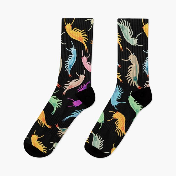 Item preview, Fairy Shrimp designed and sold by aussieexplore.