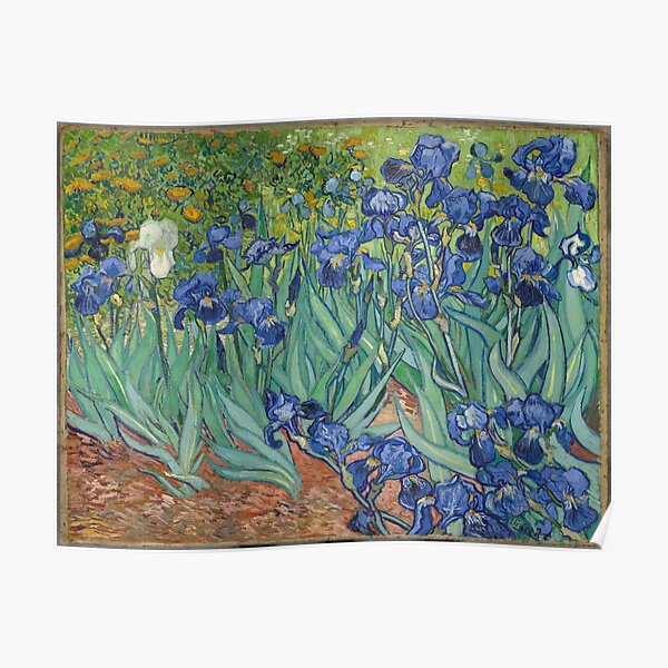 Van Gogh - Iris Poster