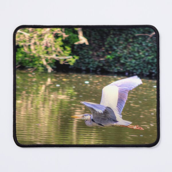 Item preview, In Flight designed and sold by Vicki Spindler (VHS Photography).