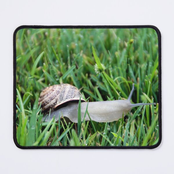 Item preview, Happy Snail designed and sold by heatherfriedman.