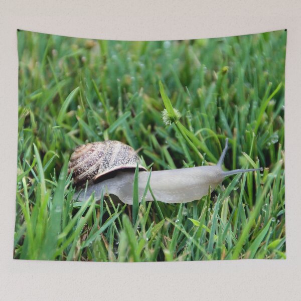 Item preview, Happy Snail designed and sold by heatherfriedman.