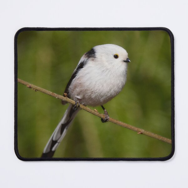 Item preview, Long-tailed tit. Green series 2 designed and sold by Jouko Lehto Photography.