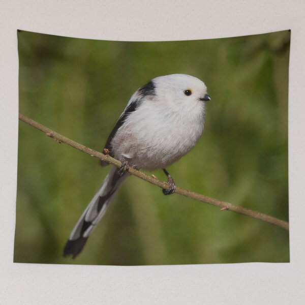 Item preview, Long-tailed tit. Green series 2 designed and sold by Jouko Lehto Photography.