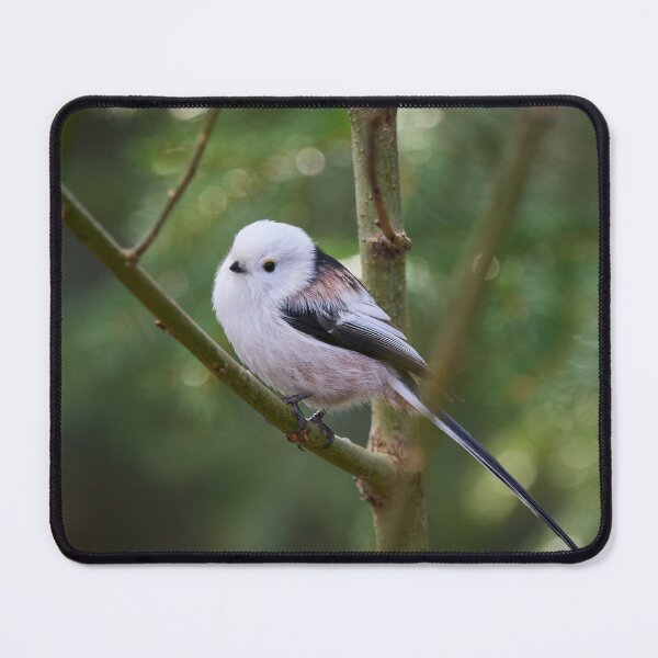 Item preview, Long-tailed tit. Green series 3 designed and sold by Jouko Lehto Photography.