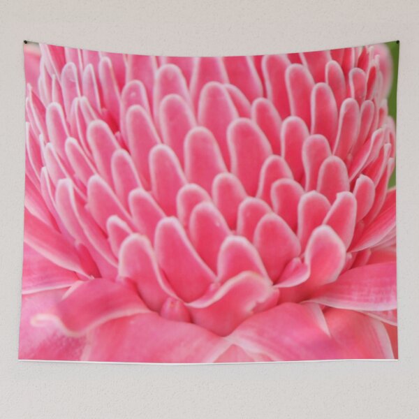 Item preview, Close-Up of Soft Pink Etlingera Flower designed and sold by Glam-OOTD.