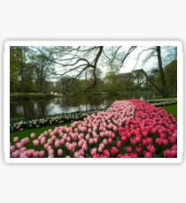 Tulip Lake Sticker
