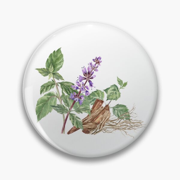Item preview, Composition of Patchouli, Sandalwood and Vetiver Roots designed and sold by Flowersforbear.