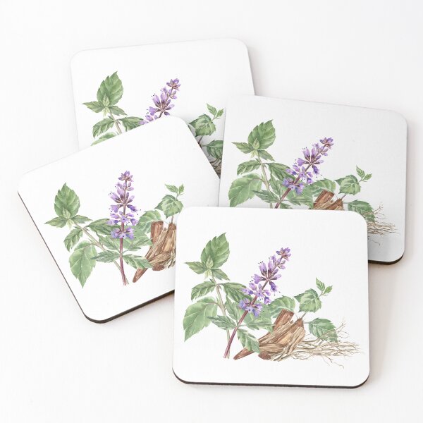 Item preview, Composition of Patchouli, Sandalwood and Vetiver Roots designed and sold by Flowersforbear.