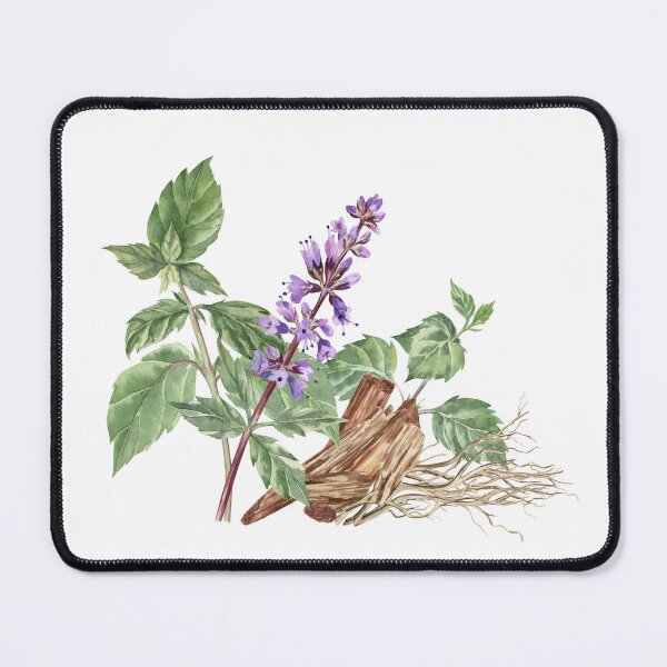 Item preview, Composition of Patchouli, Sandalwood and Vetiver Roots designed and sold by Flowersforbear.