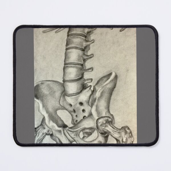 Item preview, Hip Bones designed and sold by GiSilver.