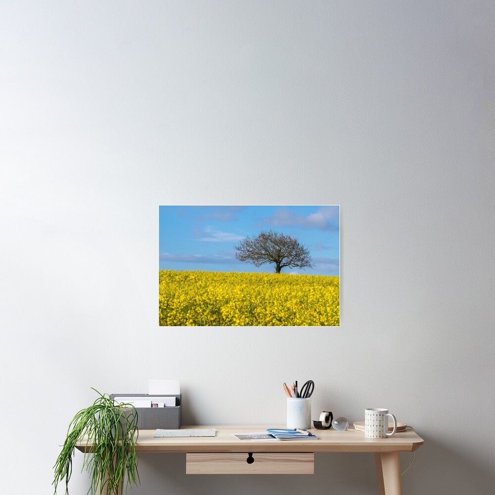 Tree Poster