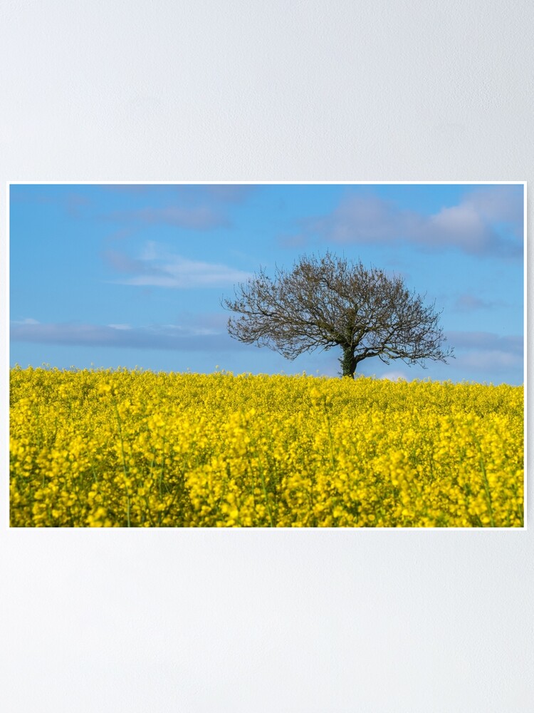 Alternate view of Tree Poster